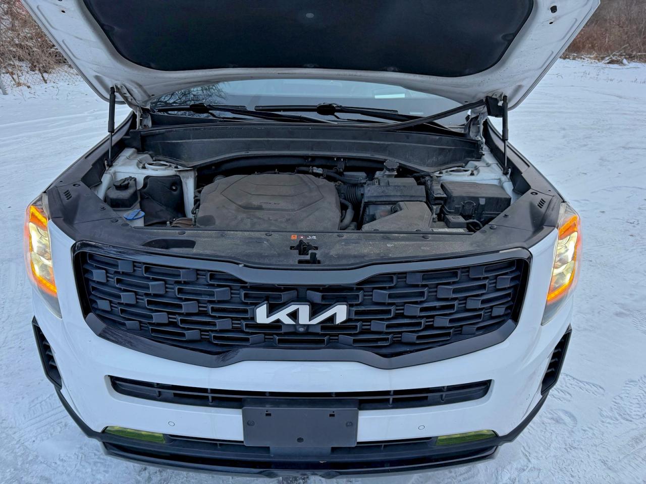 Lot #3310341986 2022 KIA TELLURIDE