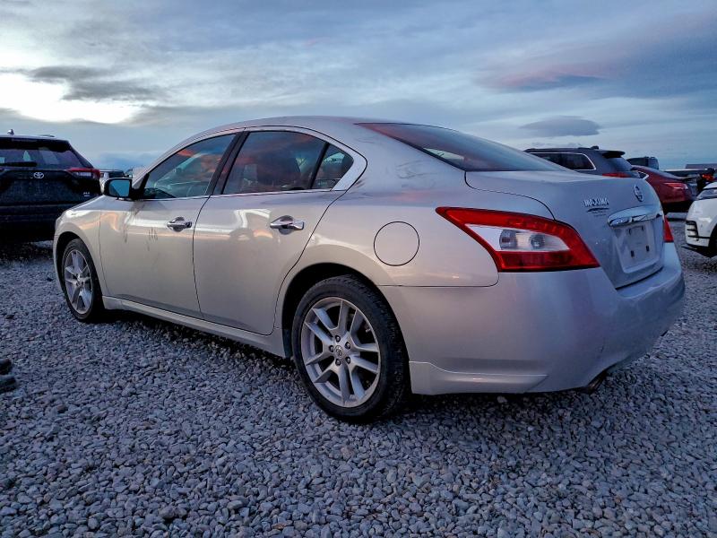 2009 NISSAN MAXIMA #3310357962