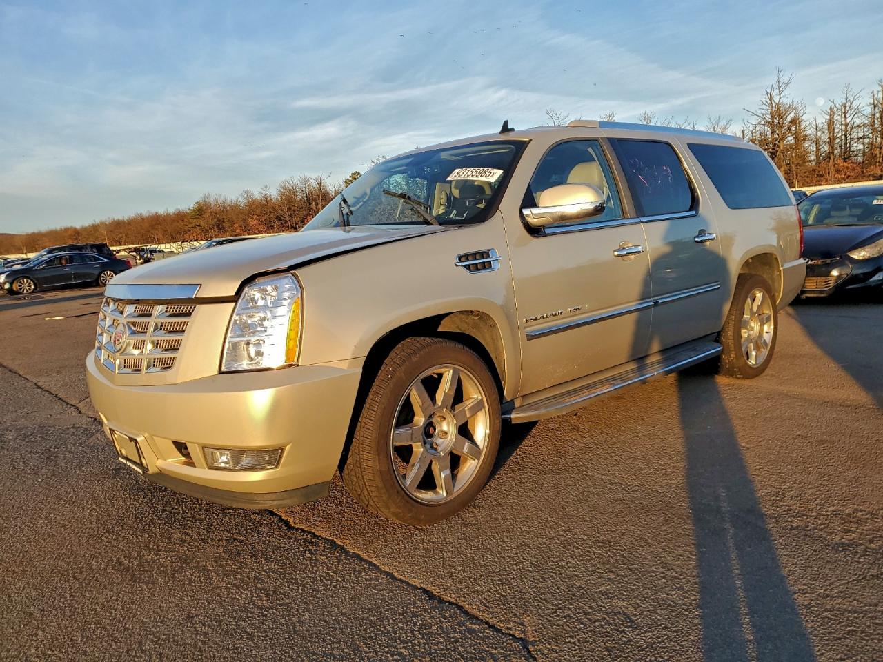 CADILLAC ESCALADE ESV LUXURY