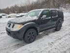 Lot #3303572938 2009 NISSAN PATHFINDER