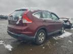 Lot #3305572067 2014 HONDA CR-V LX