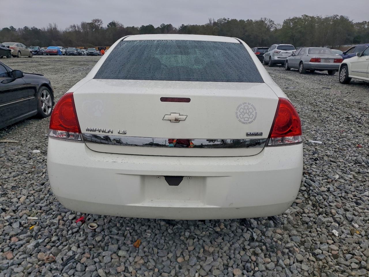 Lot #3301842343 2008 CHEVROLET IMPALA LS