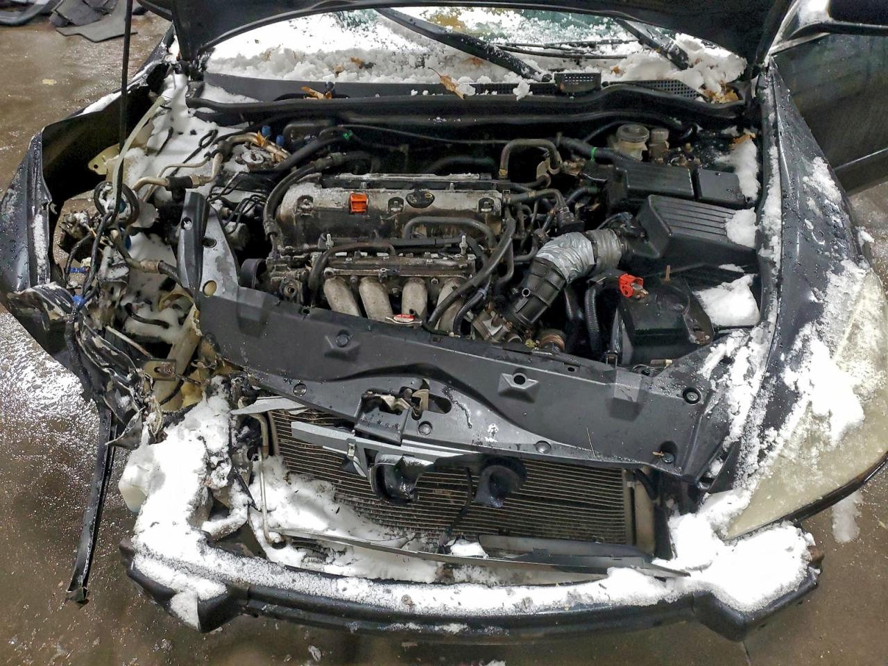 Lot #3315447357 2006 HONDA ACCORD EX