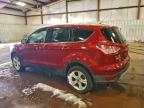 Lot #3309405992 2014 FORD ESCAPE SE