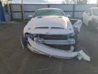 Lot #3304556470 2007 FORD MUSTANG