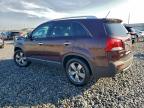 Lot #3310440308 2013 KIA SORENTO EX