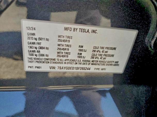 2025 TESLA MODEL Y #3308243185