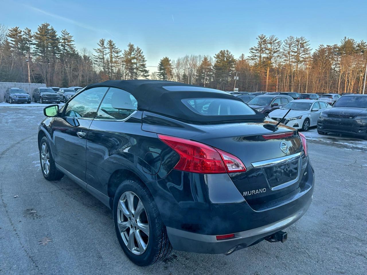Lot #3318059367 2014 NISSAN MURANO CRO