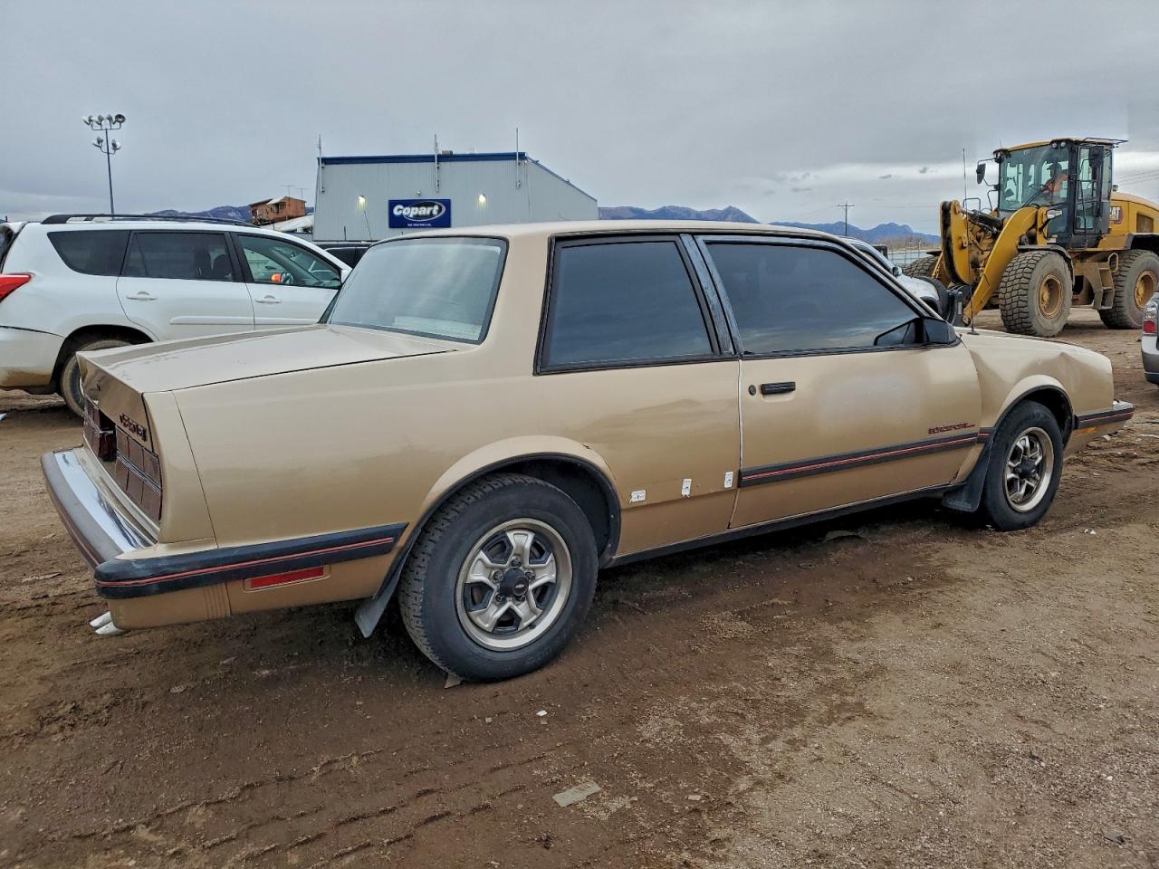 Lot #3304901579 1985 CHEVROLET CELEBRITY