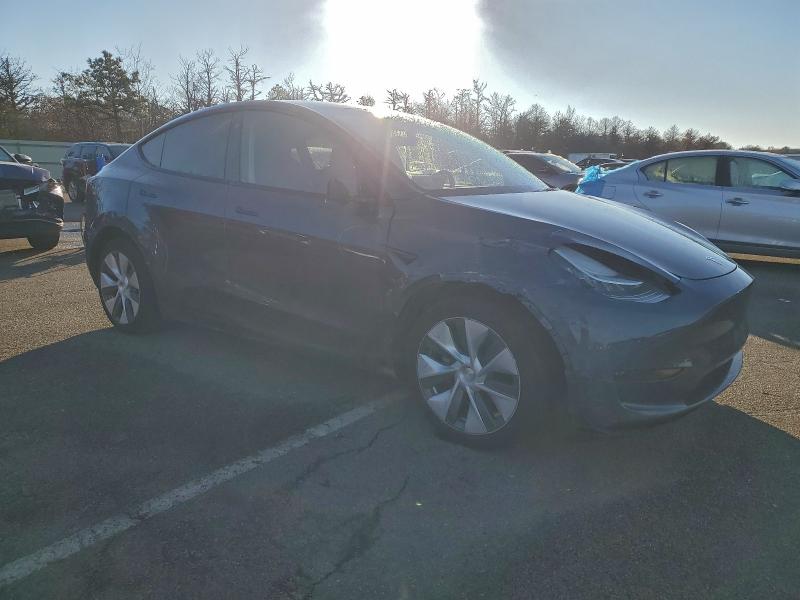 2023 TESLA MODEL Y #3303882715