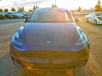 Lot #3309726838 2022 TESLA MODEL Y