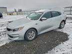 Lot #3305529082 2016 KIA OPTIMA LX