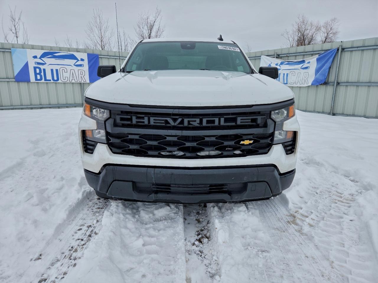 Lot #3316695159 2023 CHEVROLET SILVERADO