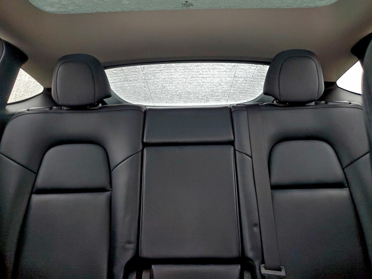 Lot #3317808083 2022 TESLA MODEL Y