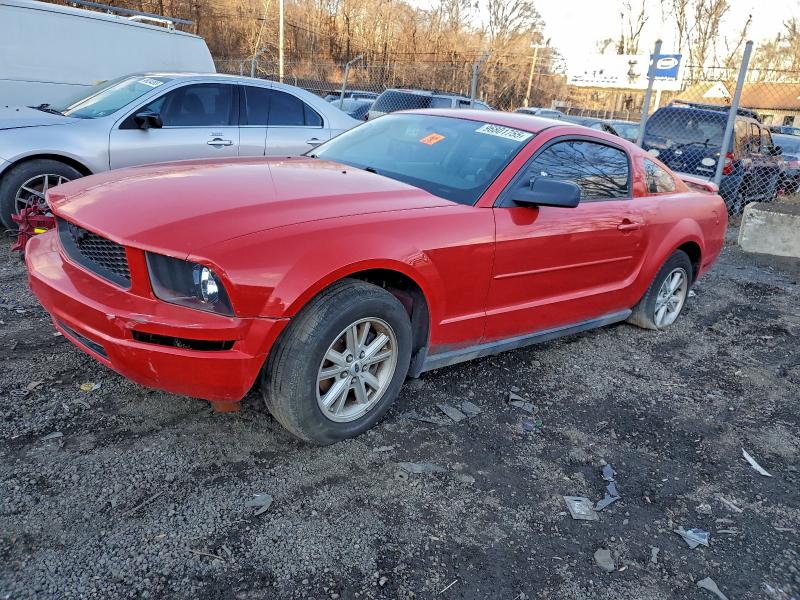 2005 FORD MUSTANG #3313702150