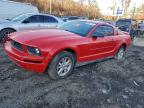 Lot #3313702150 2005 FORD MUSTANG