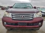 Lot #3306373607 2010 LEXUS GX 460