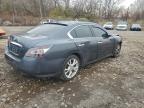 Lot #3317703195 2013 NISSAN MAXIMA S