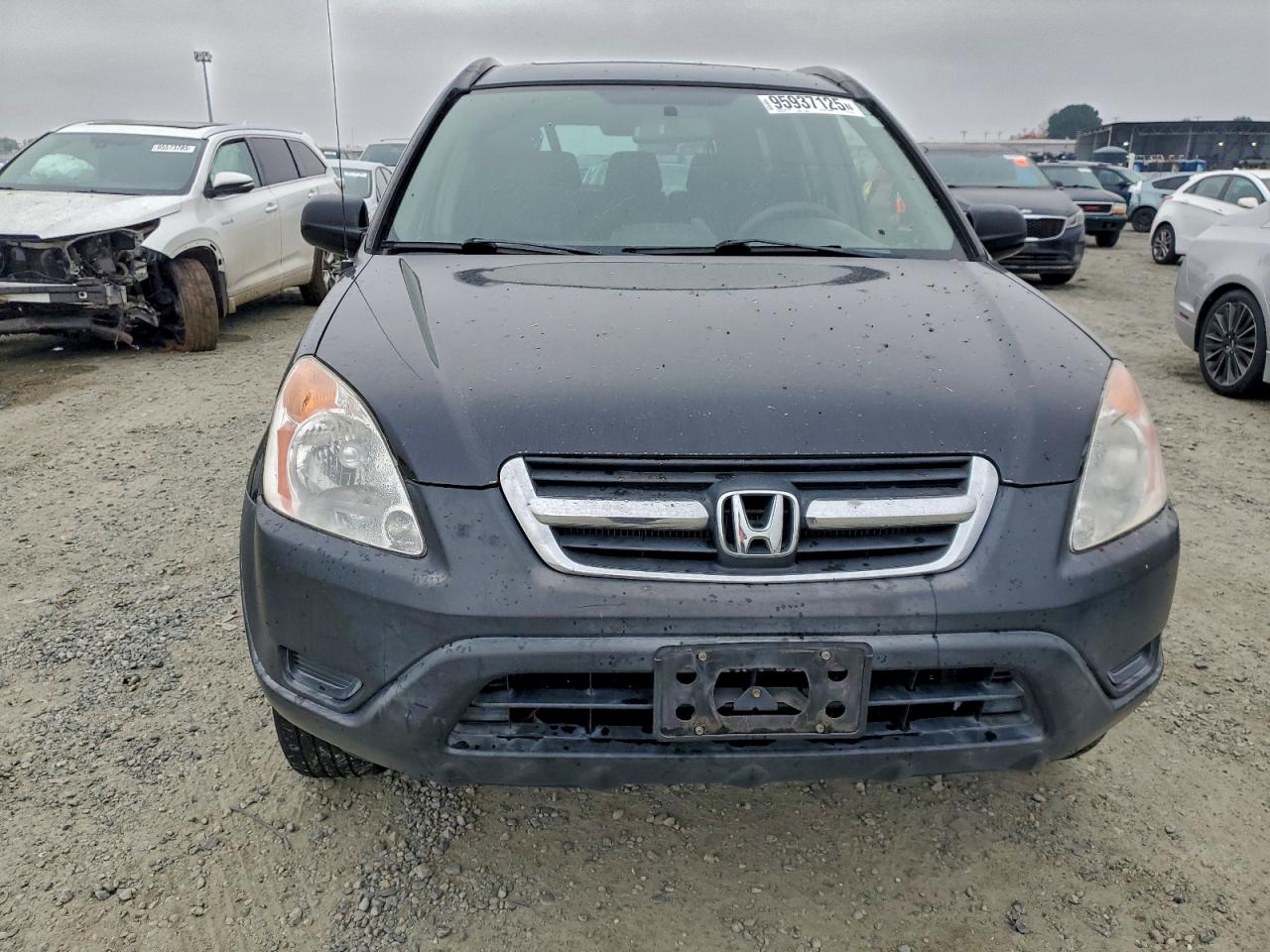 Lot #3305713753 2004 HONDA CR-V EX