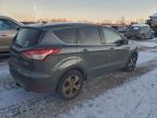 Lot #3312518647 2016 FORD ESCAPE SE