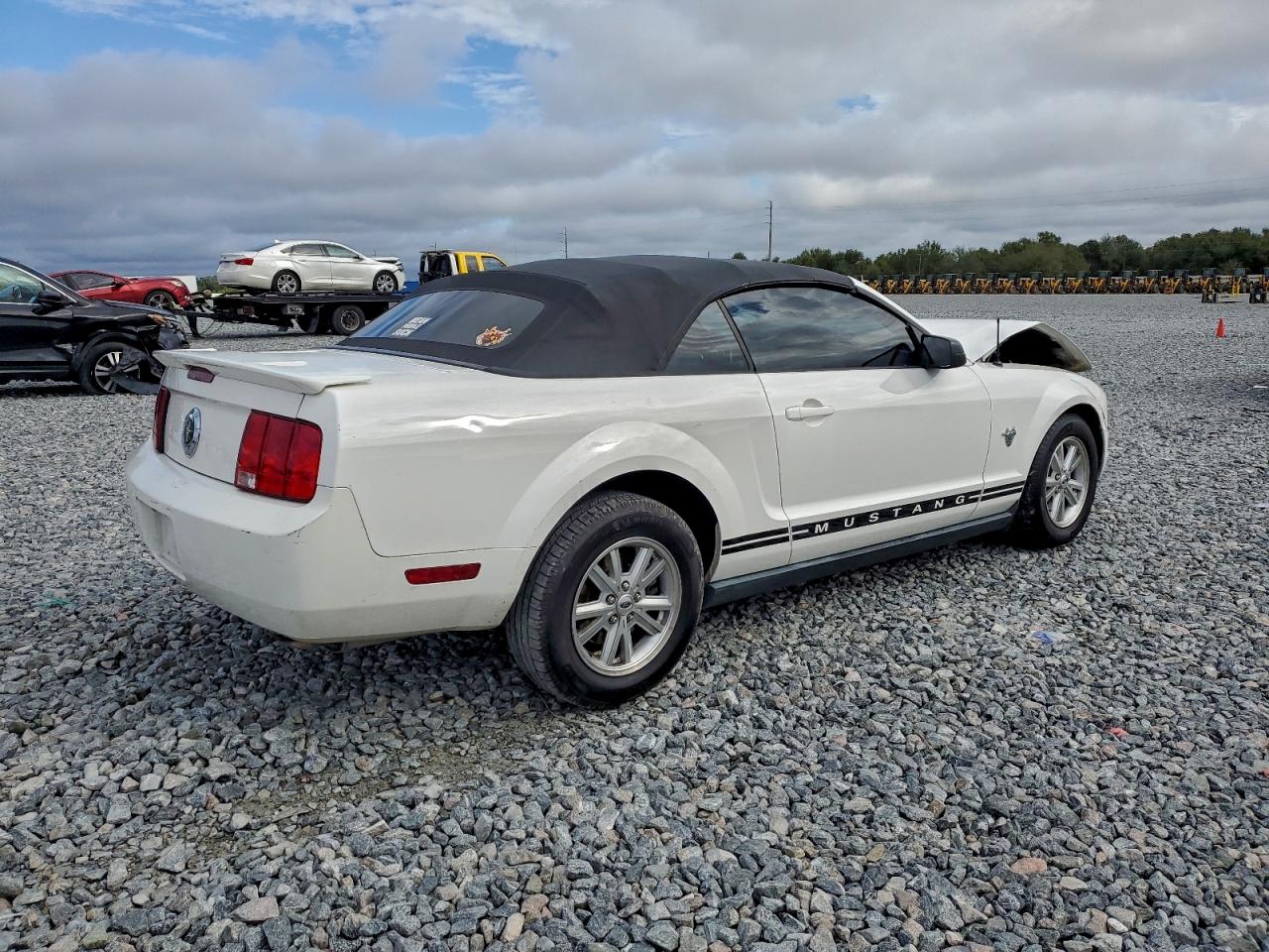 Lot #3316011811 2009 FORD MUSTANG