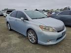 Lot #3301976435 2010 LEXUS HS 250H
