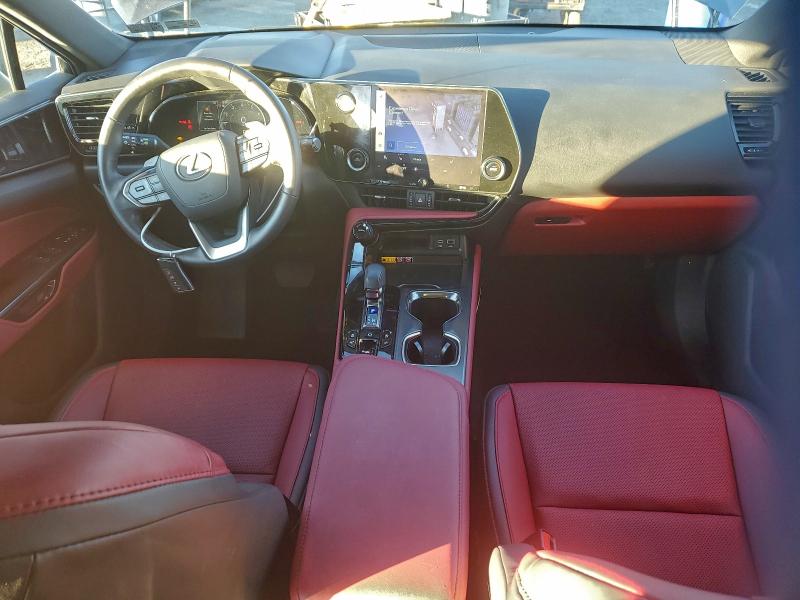2025 LEXUS NX 350 BAS #3303726416