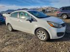Lot #3310600268 2013 KIA RIO LX