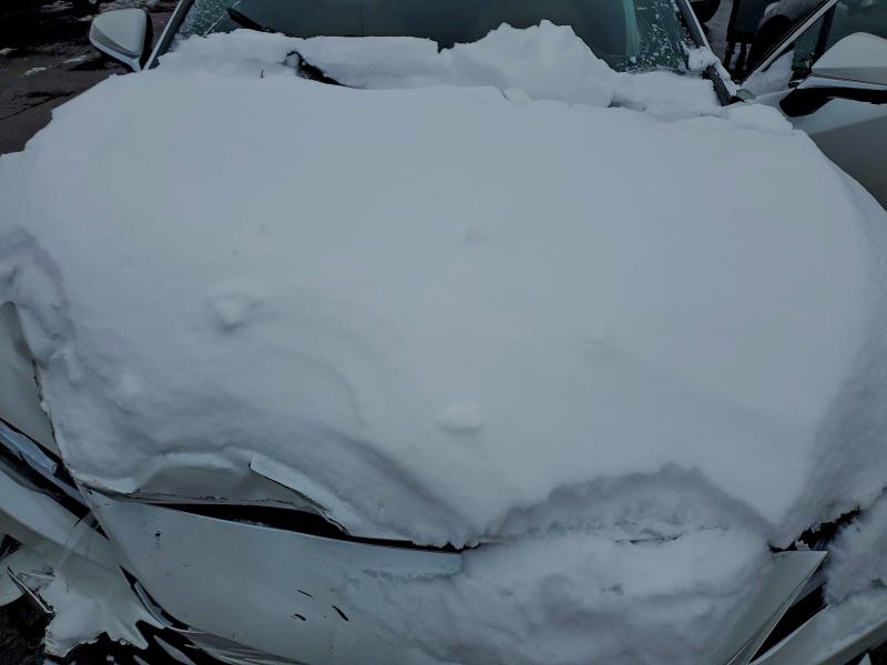 2025 LEXUS RX 350 BAS #3308311243