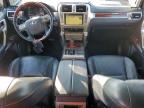 Lot #3309248625 2010 LEXUS GX 460 PRE