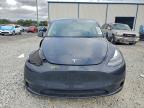 Lot #3309594570 2024 TESLA MODEL Y