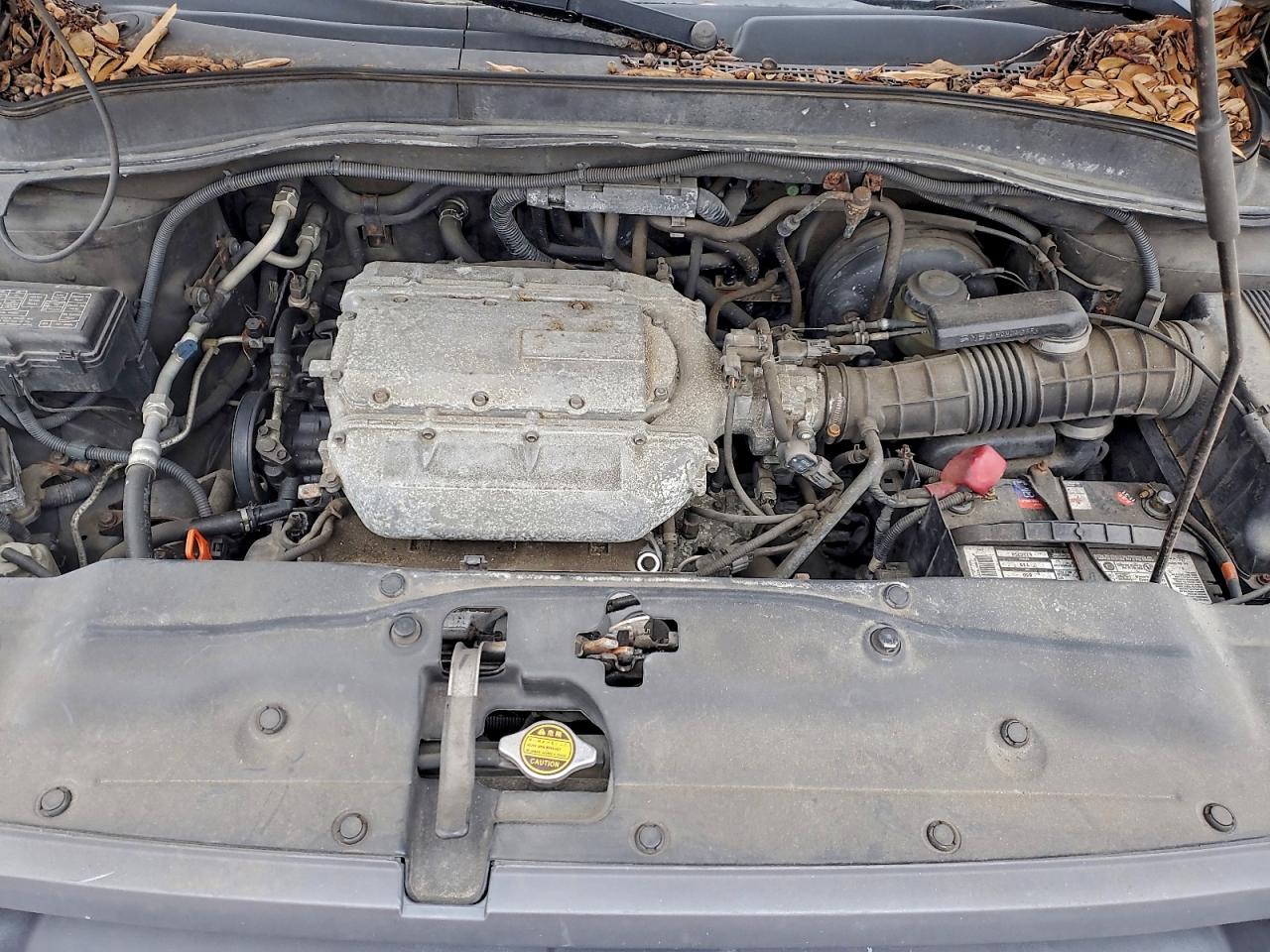 Lot #3315679779 2003 HONDA PILOT EXL