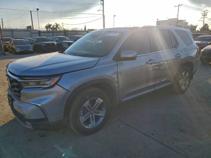 2024 HONDA PILOT EXL #3304503460