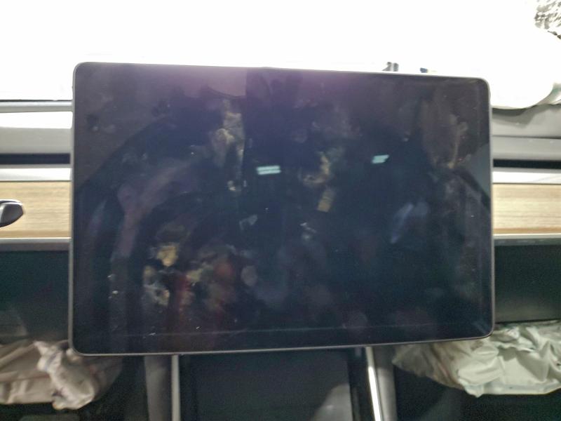 2020 TESLA MODEL Y #3305583099