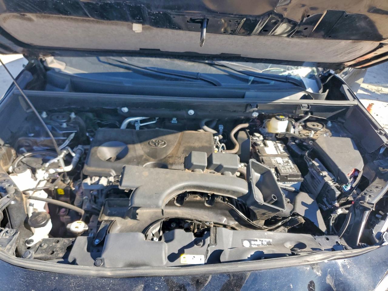 Lot #3315873086 2023 TOYOTA RAV4 XLE