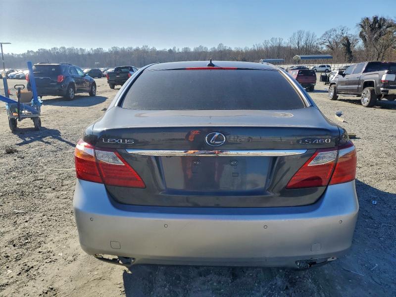 2010 LEXUS LS 460 #3316799432