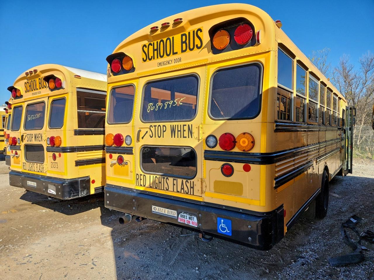Lot #3305292312 2012 BLUE BIRD SCHOOL BUS