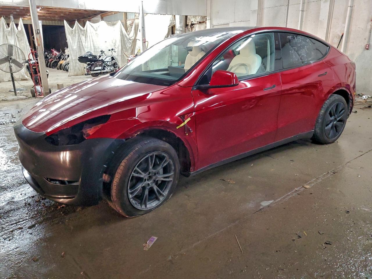 TESLA MODEL Y