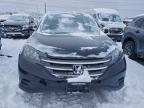 Lot #3303583930 2014 HONDA CR-V LX
