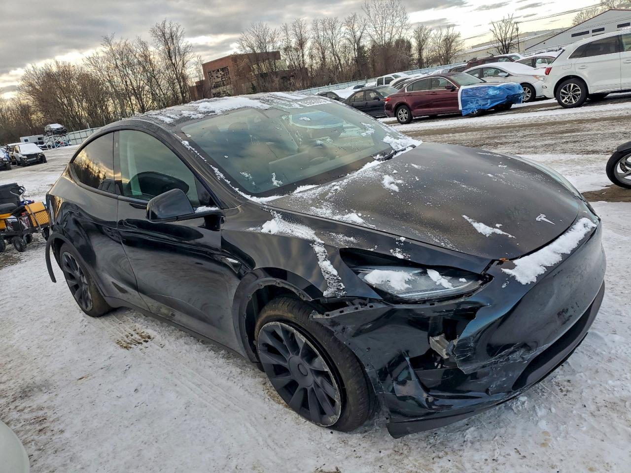 Lot #3316876071 2021 TESLA MODEL Y