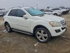Lot #3317689116 2011 MERCEDES-BENZ ML 350
