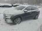 Lot #3303572939 2016 HYUNDAI TUCSON LIM