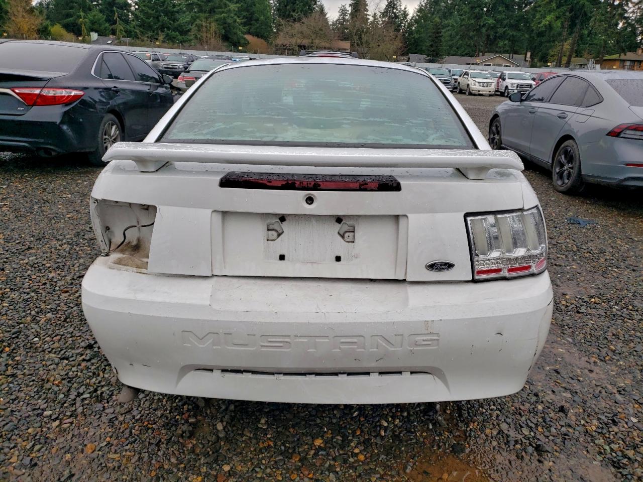 Lot #3311656267 2001 FORD MUSTANG