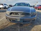 Lot #3304530521 2014 FORD MUSTANG