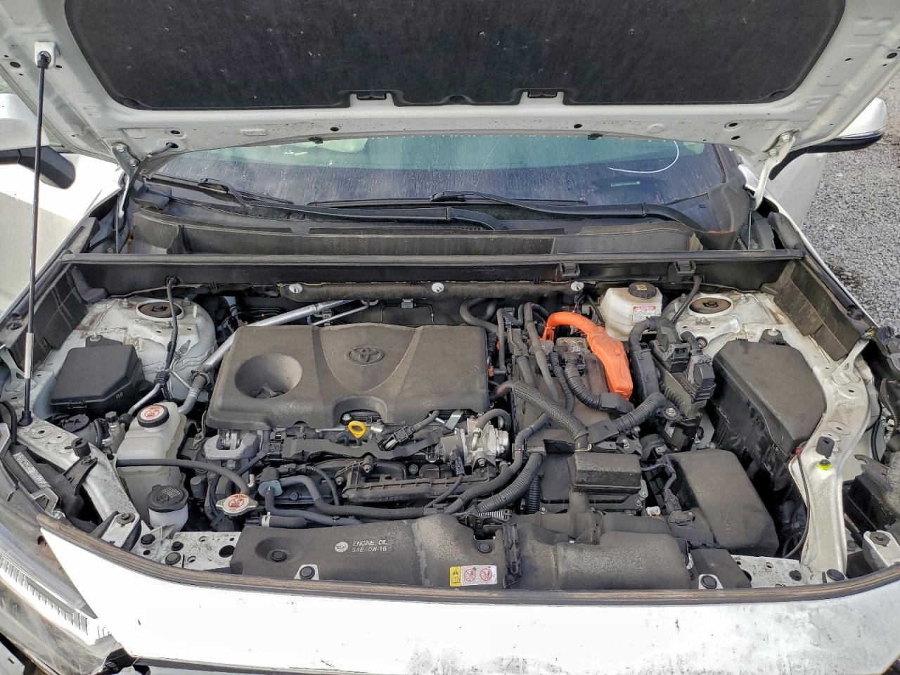 TOYOTA RAV4 XLE PREMIUM