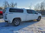 Lot #3317821209 2021 CHEVROLET SILVERADO