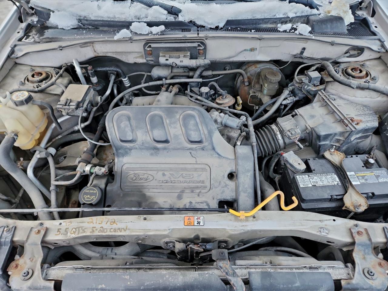 Lot #3315702715 2003 FORD ESCAPE XLT