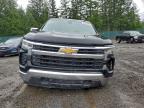 Lot #3305334331 2022 CHEVROLET SILVERADO
