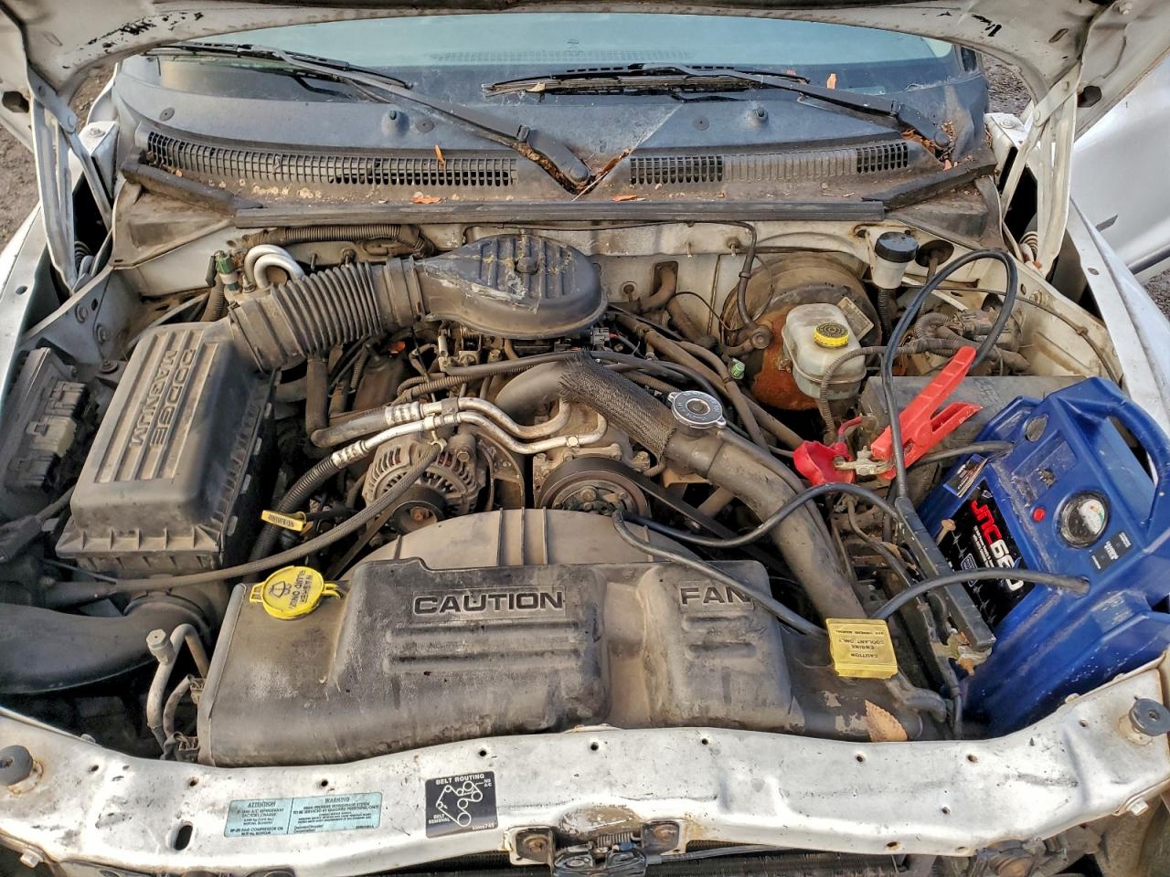 Lot #3310382954 2001 DODGE DAKOTA QUA