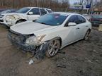 Lot #3313702140 2011 NISSAN MAXIMA S